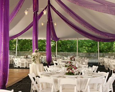 Kids Travis County and Williamson County: Party Rentals, Decor, Invites, and Supplies - Fun 4 Austin Kids