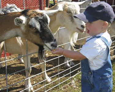 Kids Travis County and Williamson County: Animal Encounters - Fun 4 Austin Kids