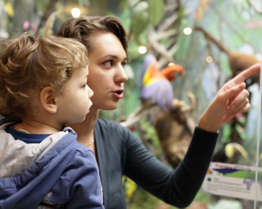Kids Travis County and Williamson County: Temporary Exhibits and Displays - Fun 4 Austin Kids