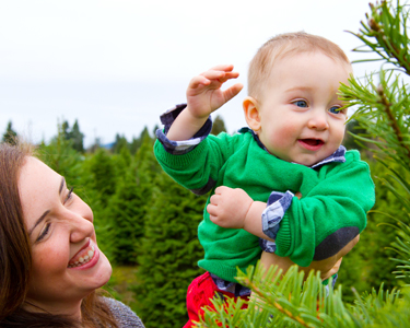 Kids Travis County and Williamson County: Christmas Tree Farms - Fun 4 Austin Kids