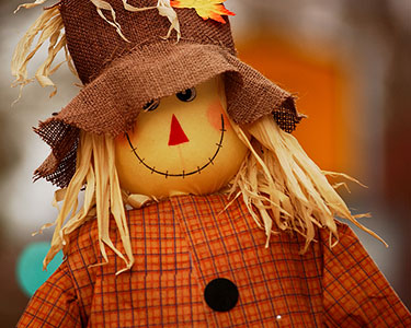 Kids Travis County and Williamson County: Halloween and Fall Displays - Fun 4 Austin Kids