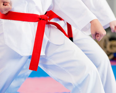 Kids Travis County and Williamson County: Martial Arts and Self Defense - Fun 4 Austin Kids