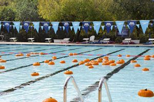 Pumpkins in a Pool.jpg