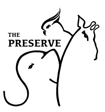 1107.png