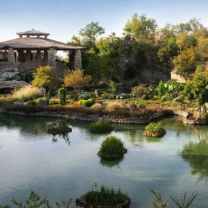 San Antonio - Japanese Tea Garden