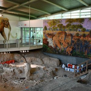 Waco Mammoth National Monument