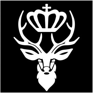 Inishfree School of Irish Dance - Austin
