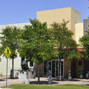Windsor Park Branch - Chess Club