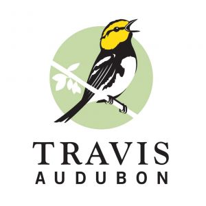 Travis Audubon Young Birders