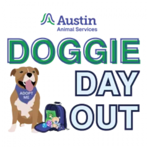Austin Animal Services