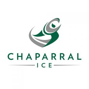 Chaparral Ice - Birthday Parties