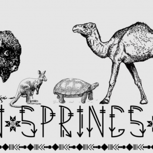 Indian Springs Ranch - Birthday Parties