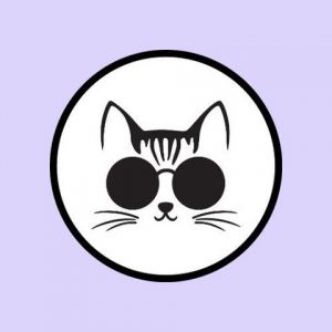 Purr-fecto Cat Lounge - Birthday Parties