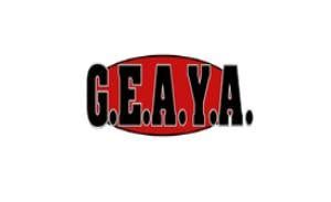 Greater East Austin Youth Association - GEAYA