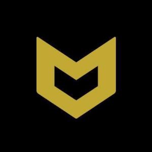 Momentum Baseball