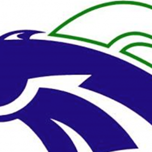 North Austin Youth Football Association (NAYFA)