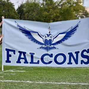Wilco Falcons Football & Cheer
