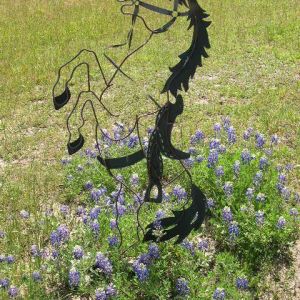 Little Buckaroo Ranch
