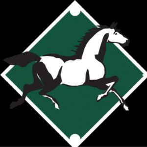 Bee Cave Riding Center