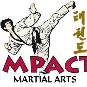 Impact Martial Arts - Birthday Parties