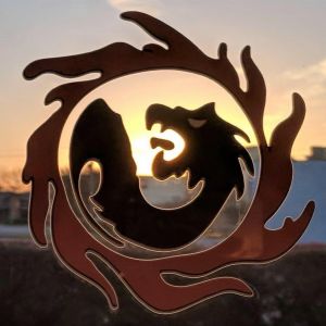Sun Dragon Seido Karate & Self Defense, NFP