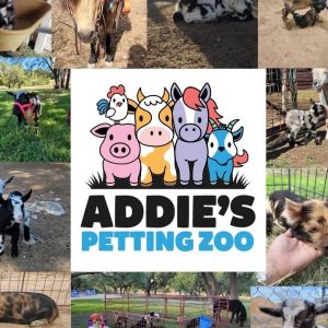 Addie's Petting Zoo - Birthday Parties
