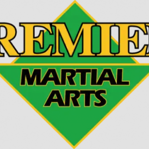Premier Martial Arts - Birthday Parties