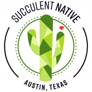 Succulent Native - Birthday Parties