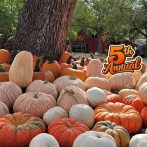 Round Rock Pumpkin Festival and Round Rock Pumpkin Patch