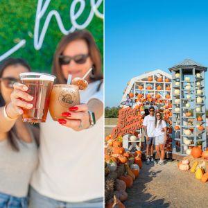 Robinson Family Farm, The - Central TX Pumpkin Fest