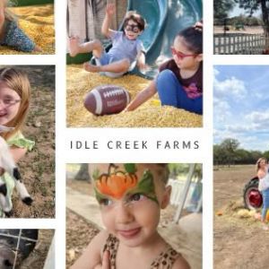 Idle Creek Farms Pumpkin Patch and Maze