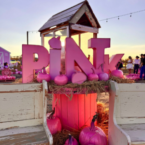 Country Grace Farms | Pink Pumpkin Patch