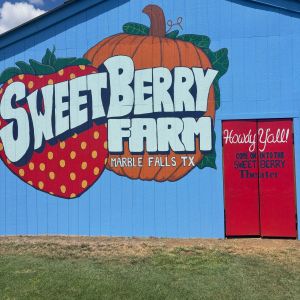 Harvest of Fall Fun at Sweet Berry Farm