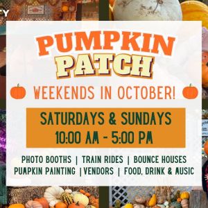 Pumpkin Patch at Community Gardens