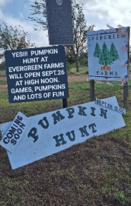 Pumpkin Hunt at Evergreen Farms Christmas Trees