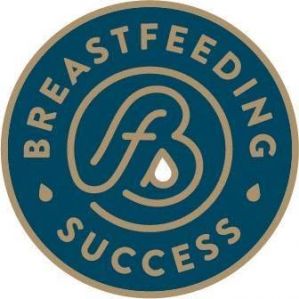 Breastfeeding Success Company