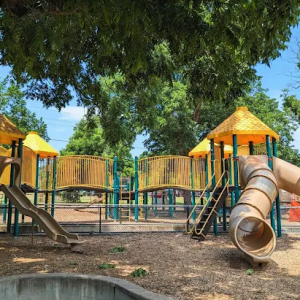 Zilker Playground
