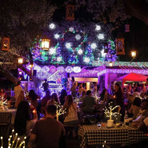 Mozart’s Festival of Lights