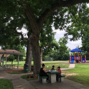 Richard Moya Park