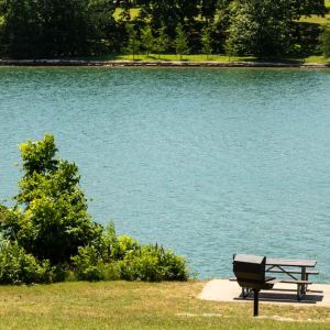 Selma Hughes Park