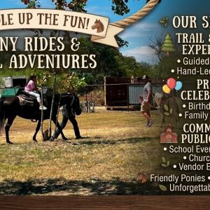CS's Reining Equines