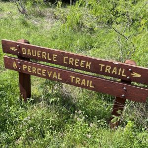 Bauerle Ranch at Slaughter Creek Greenbelt