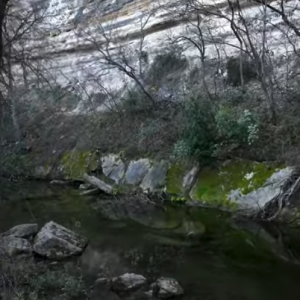 Bull Creek Bluff Neighborhood Park