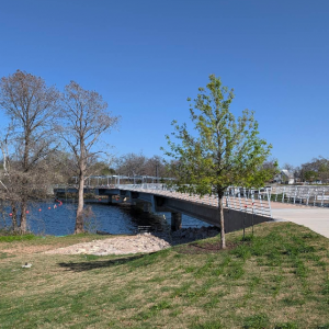 Longhorn Shores at Town Lake Metropolitan Park