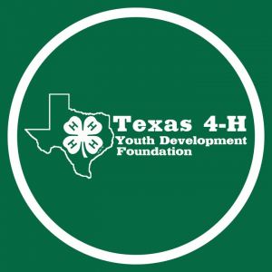 Texas 4-H Foundation Scholarships
