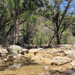 Turkey Creek Trail