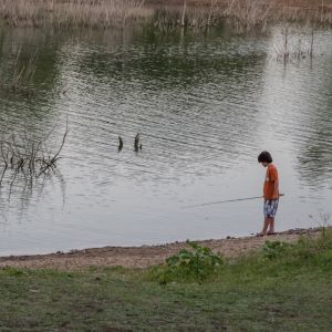 Cypress Creek Park
