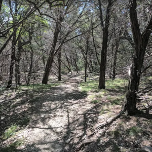 Hielscher Tract Greenbelt