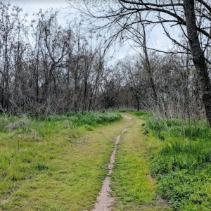 Bolm District Park
