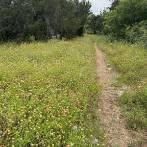 Yett Creek Neighborhood Park